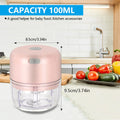 Mini Electric Food Chopper
